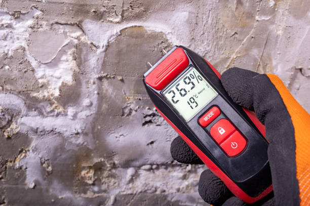 Asbestos and Lead Testing During Mold Inspection in Cottonwood Shores, TX